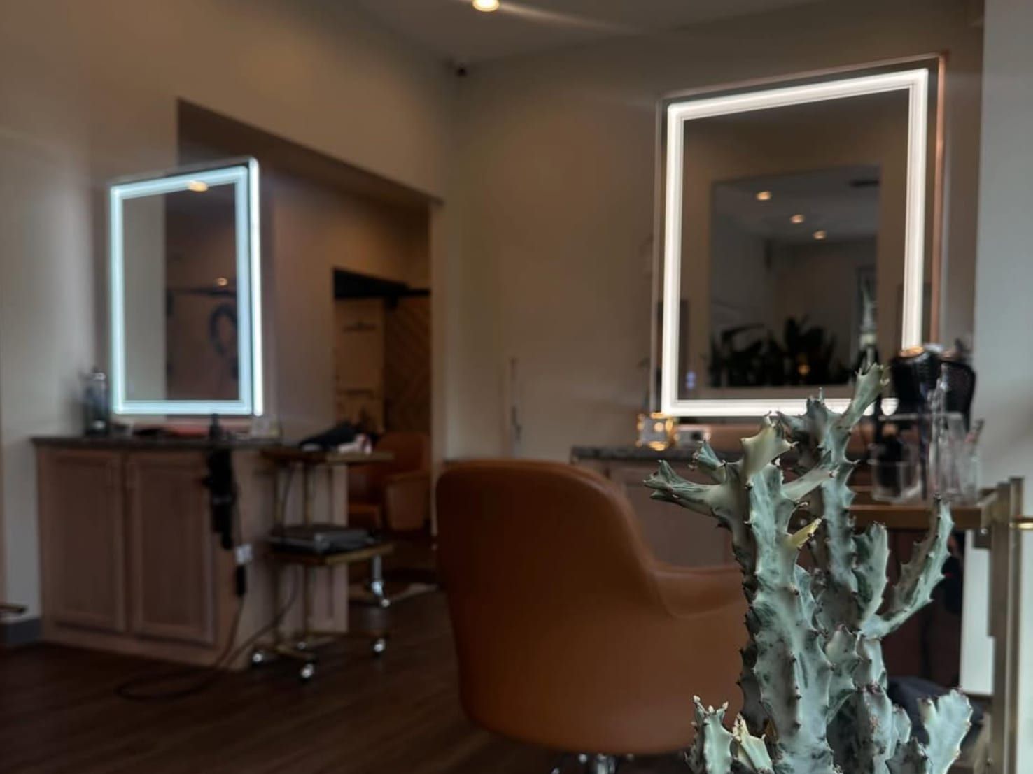The styling floor at Alora Salon in Robinson Township, Pittsburgh, with warm wood stations, mirrors and plants